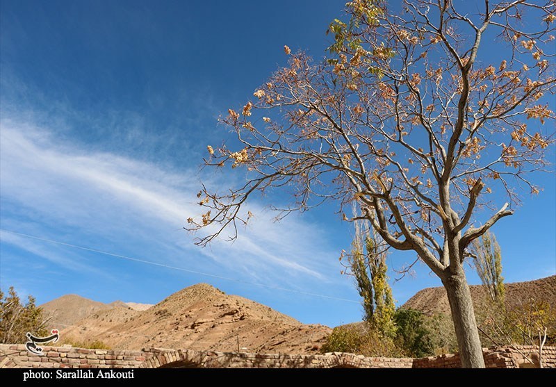 پرواز دوباره عقاب طلایی بر فراز چرام+فیلم