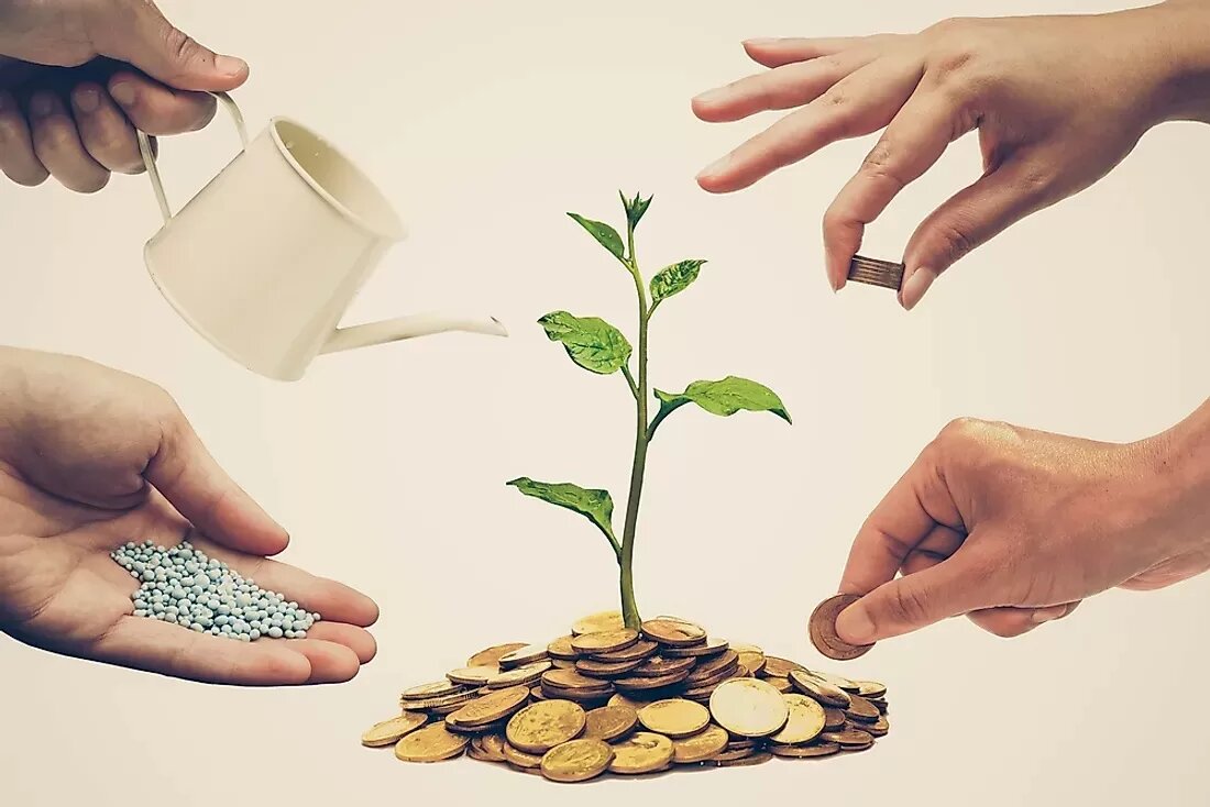 بهره‌گیری از ظرفیت تعاونی‌های تولیدی برای ارتقای امنیت غذایی در کشور