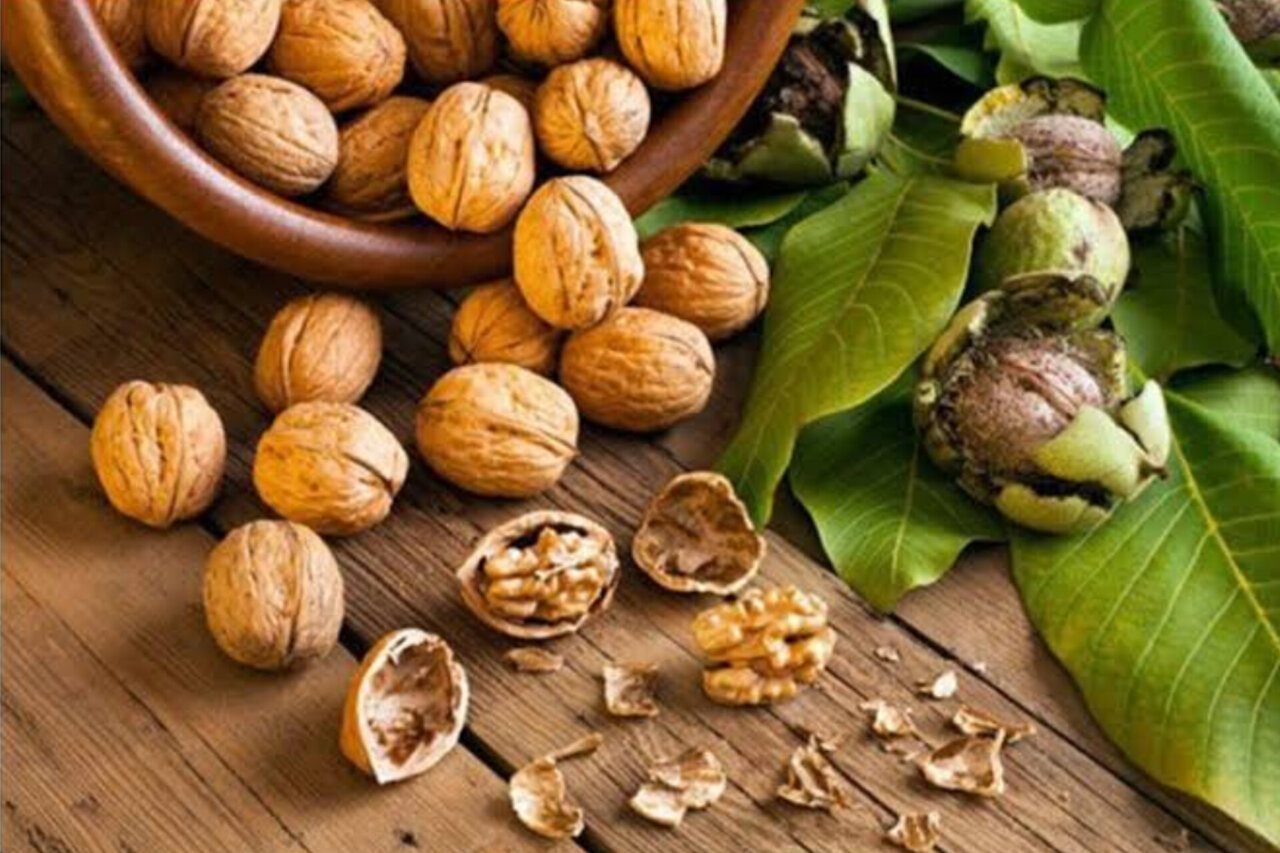 ثمرین زیر سایه طلای سبز جان گرفت؛ استقبال ۸۰ هزار نفری از جشنواره گردو