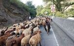 جاده کندوان امروز بسته شد؛ زمان بازگشایی اعلام می شود