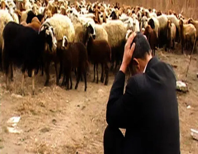 شهرخبر - ۷۰ همت برای دامداران؛ مُسکن مالی یا اصلاح سیاستی؟