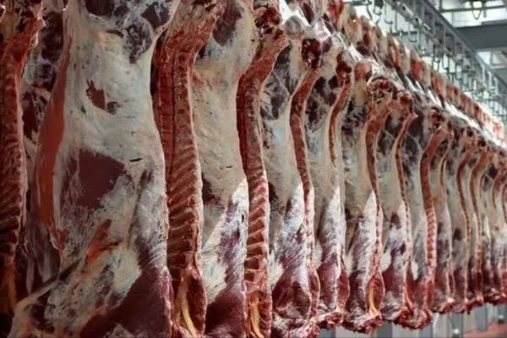 قیمت گوشت قرمز امروز 8 مرداد + جدول قیمت ها
