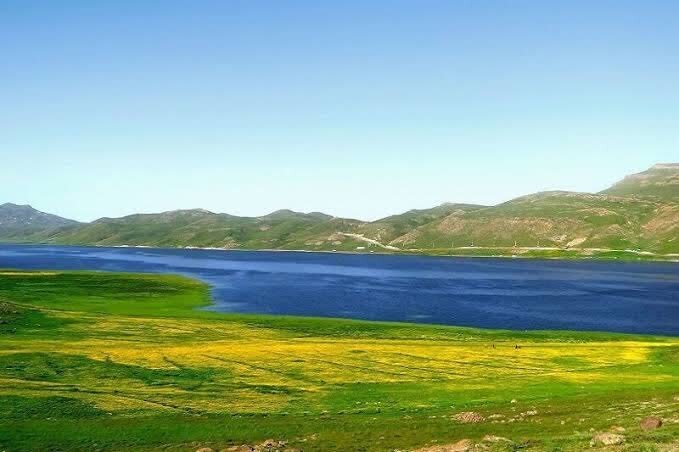 صدور مجوز صید ماهی با قلاب در تالاب نئور پس از بررسی‌های کارشناسی