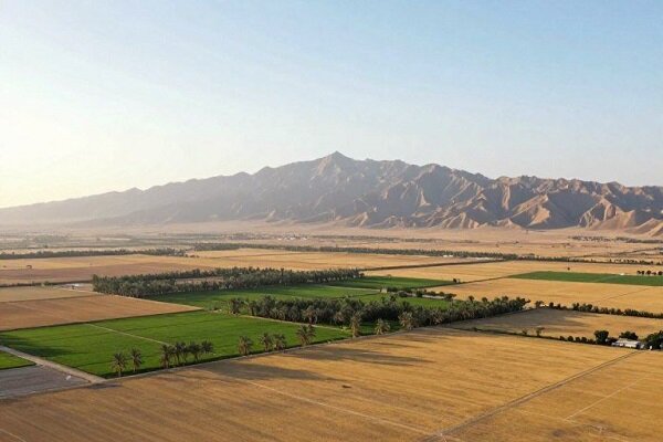 آزادسازی اراضی ملی در بوشهر؛ ۳۲ پرونده تشکیل شد