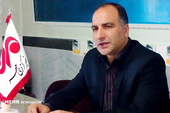 رکورد تولید گندم شکسته شد