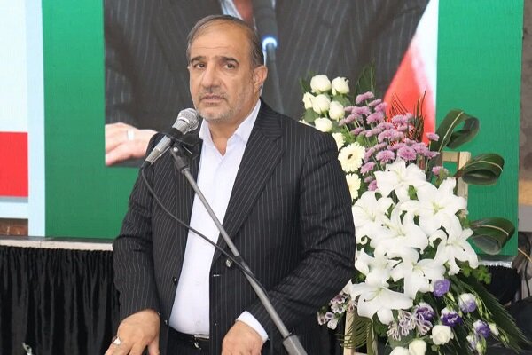 دام ها در مزارع سبز گندم مشغول چرا هستند