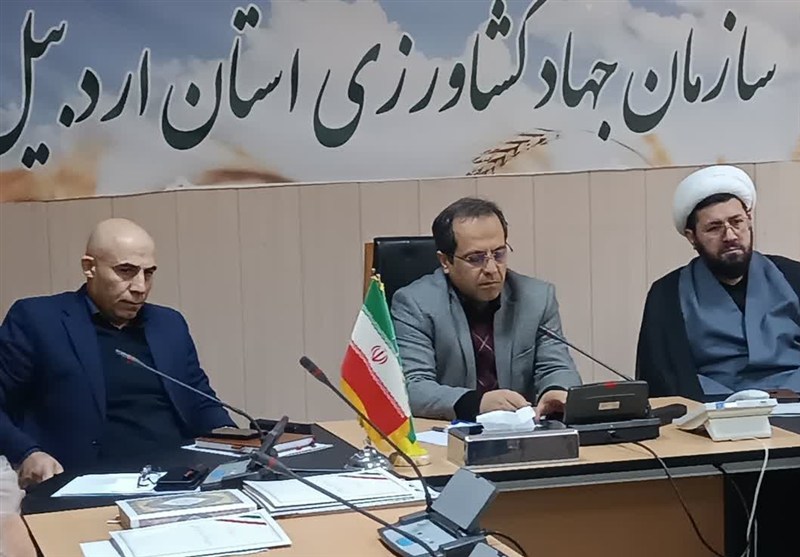 قیمت مرغ روند کاهشی پیدا کرده است