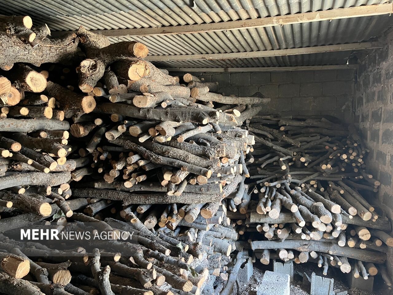 کشف و انهدام باندهای قاچاق چوب در نکا و بابل
