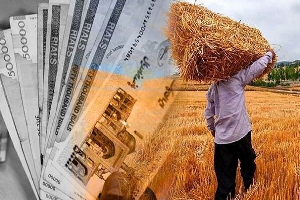 پرداخت 85 هزار میلیارد از مطالبات گندمکاران؛ حمایت از امنیت غذایی کشور
