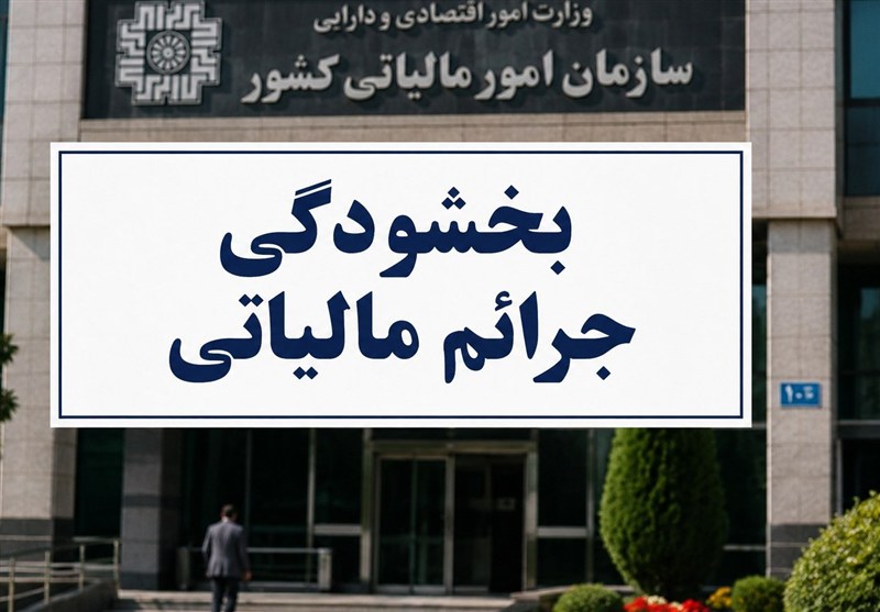تشریح نحوه تعیین نرخ ارز فعالان اقتصادی در واردات بدون انتقال ارز