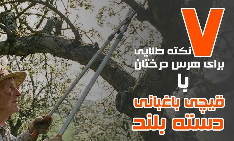 7 نکته طلایی برای هرس درختان با قیچی باغبانی دسته بلند