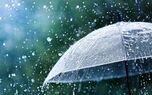 هشدار جهاد کشاورزی به زعفران‌کاران؛ آبیاری مزارع را به تأخیر نیندازید
