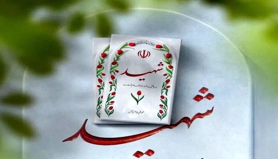 ۵ نفر در شهرستان‌های جم و دیر به شهادت رسیدند