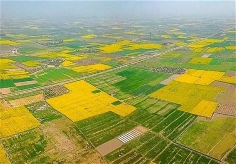 طرح مجلس برای اصلاح قانون حفظ کاربری اراضی زراعی و باغ‌ها
