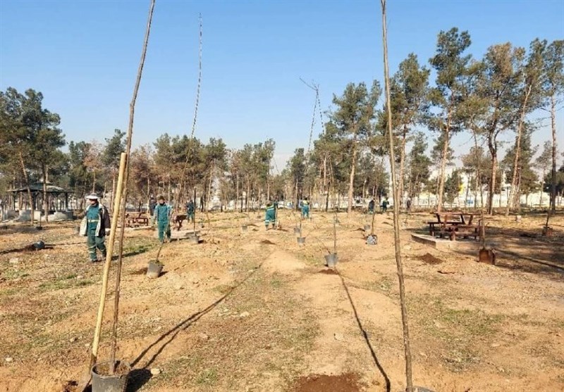 اخبار تهران| کاشت 24 هزار نهال در بوستان جنگلی سرخه‌حصار