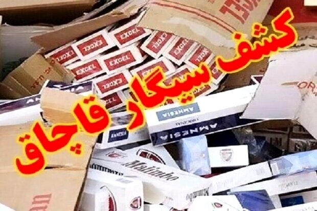 کشف محموله سیگار و تنباکوی قاچاق در جنوب غرب تهران؛ یک نفر بازداشت شد