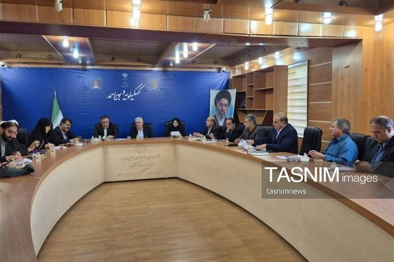 پرونده باز فرزندخواندگی برای 2 نوزاد/مراکز شبه‌خانواده خالی ازمددجو شد
