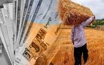 خبر خوش برای گندمکاران؛ مطالبات تا پایان هفته پرداخت می‌شود