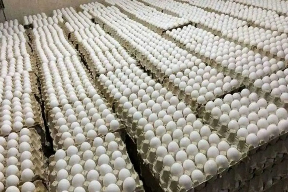 قیمت جدید هر کیلو تخم مرغ اعلام شد