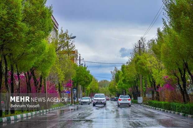 بارش باران در سواحل دریای خزر و نیمه غربی کشور 