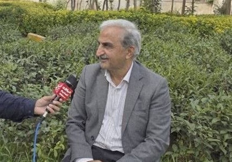 پیش‌بینی خرید 120 هزار تن برگ سبز چای‌ از باغداران ‌گیلان و مازندران