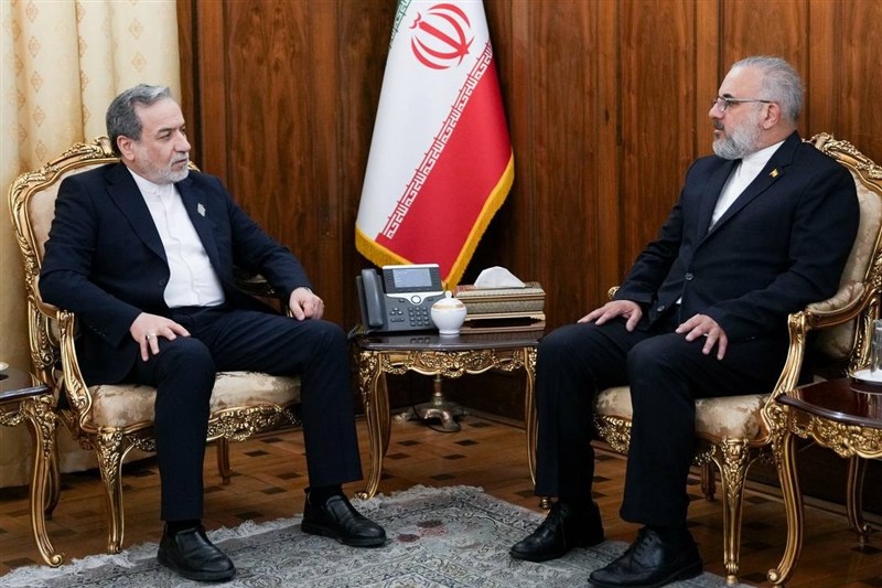 عراقچی: از همه ظرفیت‌ها برای دفاع از منافع ملی استفاده می‌کنیم