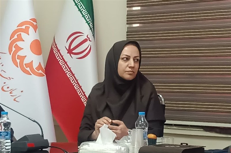 شناسایی 638 فرد پرخطر در طرح‌های سلامت روان استان مرکزی