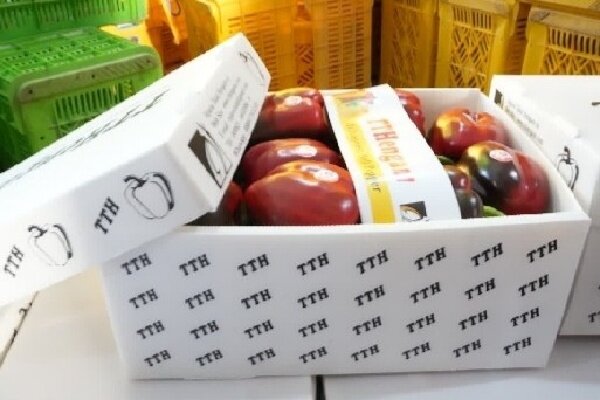 مسیر تجارت کشاورزی ایران و روسیه گسترش می‌یابد