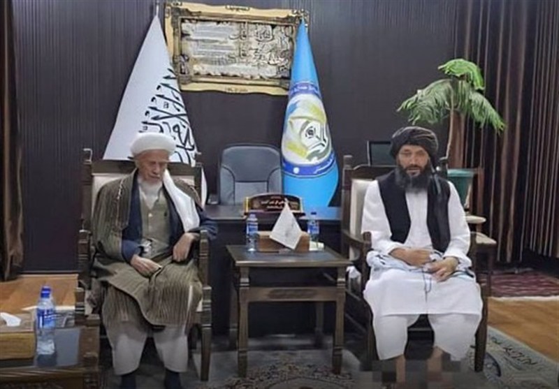 علمای شیعه افغانستان: اختلافات کوچی‌ها و روستائیان از راه گفتگو حل شود
