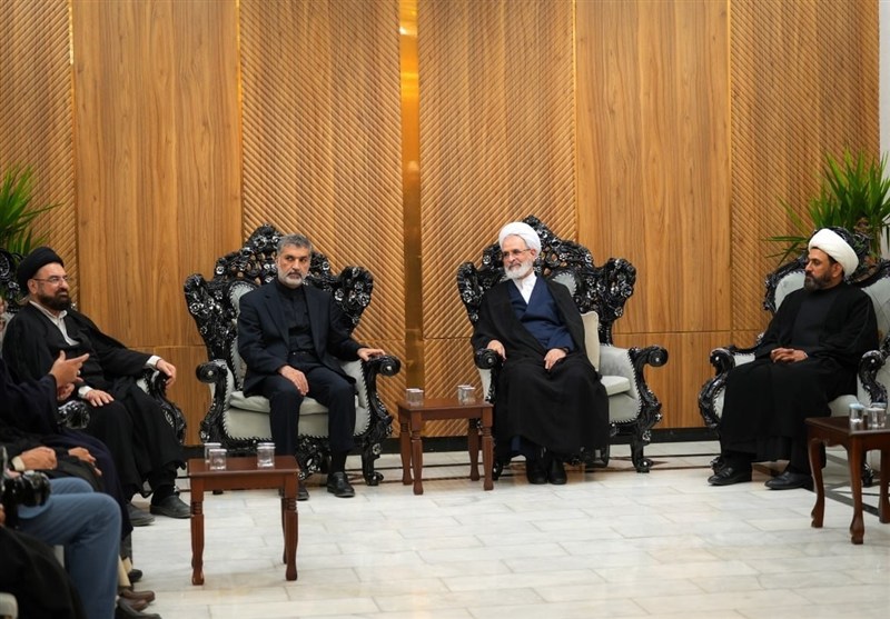آیت‌الله اعرافی با پیام قدردانی از ملت و مراجع عظام عراق وارد نجف شد