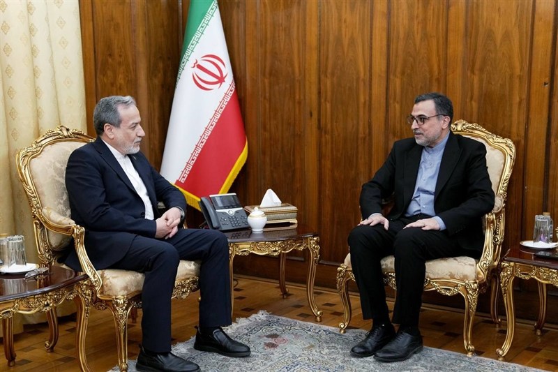 دیدار نماینده ایران نزد سازمان همکاری اسلامی با عراقچی