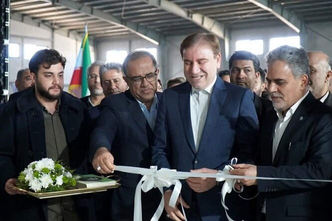 مظفری: زنجیره تولید آبزی پروری در بوشهر تکمیل شد