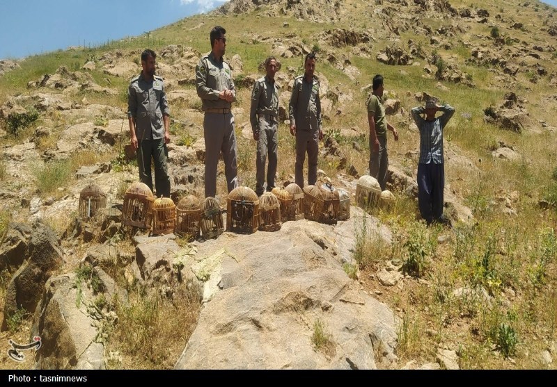 کشف 10 کبک و سلاح غیرمجاز در کامیاران؛ زنگ خطر برای حیات‌وحش