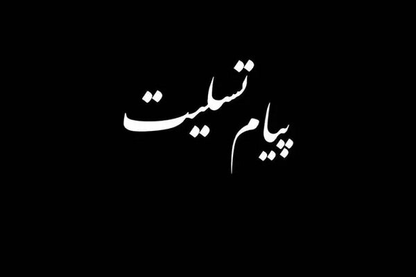 حجت الاسلام موسی پور درگذشت همسر انسیه خزعلی را تسلیت گفت