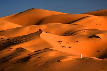 ردپای گمشده انسان خردمند؛ اجداد ما ۱۰۰هزار سال پیش در فتح جهان ناکام ماندند