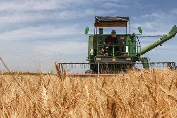 حمایت از ظرفیت‌های کشاورزی شهرستان شادگان با جدیت دنبال می‌شود