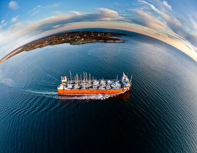 شهرخبر - اثر تحریم‌های جدید آمریکا بر فروش نفت ایران | صالحی: مسیرهای دور زدن تحریم‌ها پیچیده‌ تر می‌شود