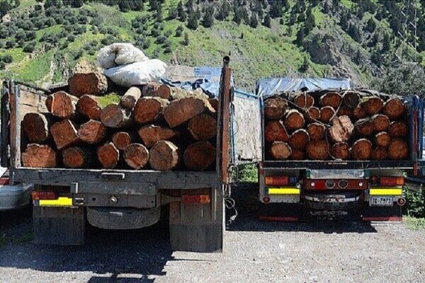کشف و ضبط یک تن چوب جنگلی قاچاق در شهرستان نور