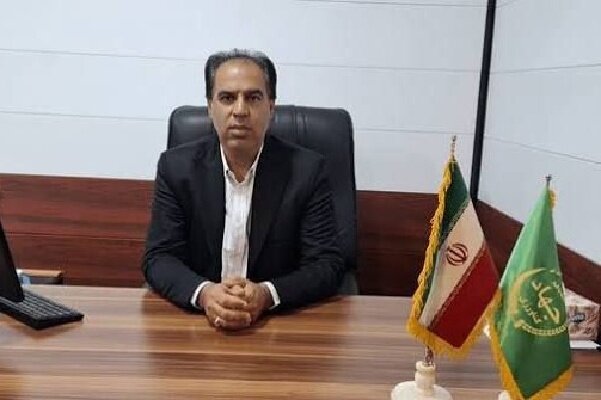 ذاکری: رودان برای توسعه گلخانه‌ها به حمایت وزارت نیرو نیاز دارد