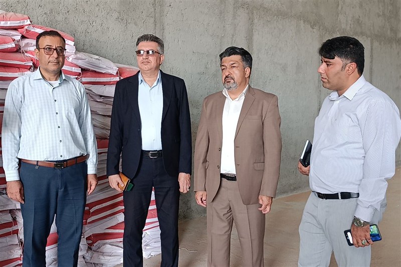 اجرای طرح تغذیه تکمیلی دام در دشتستان با هدف افزایش بهره‌وری