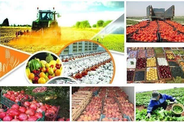 تشریح برنامه‌های هفته تعاون در مازندران
