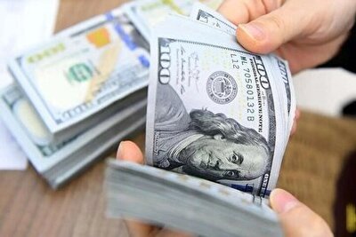 شهرخبر - کاهش قیمت دلار بازار آزاد امروز یکشنبه ۱۲ بهمن ۱۴۰۴ / آرامش به بازار ارز بازگشت + جدول