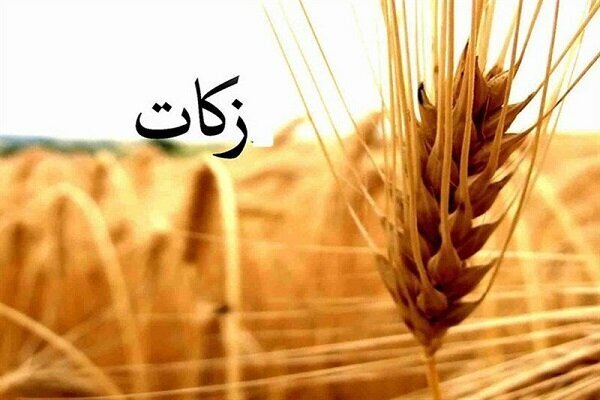 ۲۱۳ میلیارد ریال زکات در ساری پرداخت شد