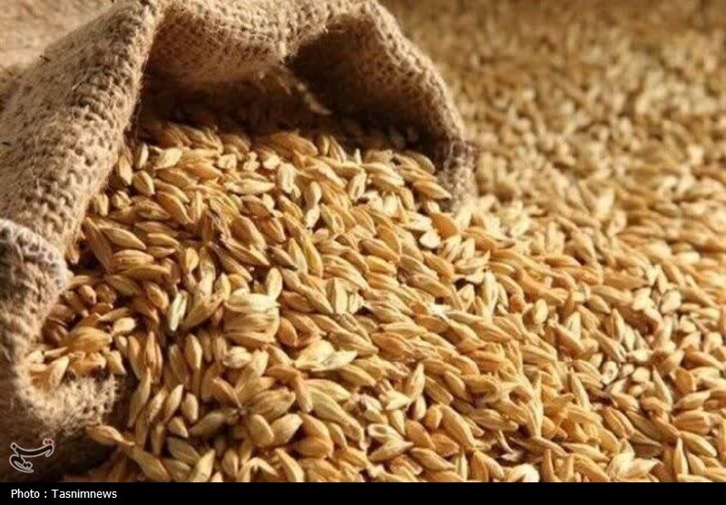 ثبت خرید 418 هزار تن گندم در خراسان رضوی