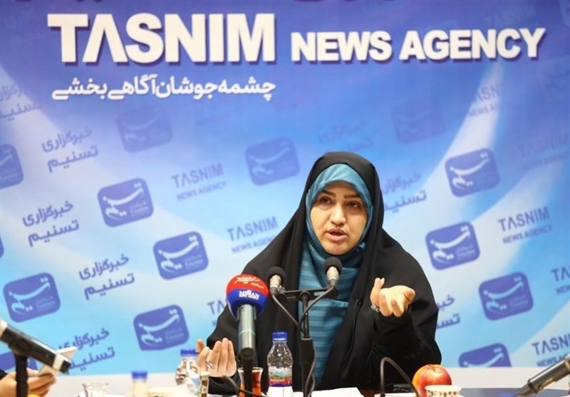 رفیعی: اندیشه «الگوی سوم زن» می‌تواند راه‌حل بحران زن در جهان باشد