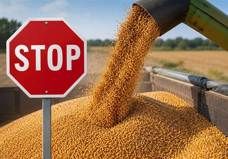 ممنوعیت واردات گندم در قزاقستان؛ زنگ خطر برای اتحادیه اوراسیا