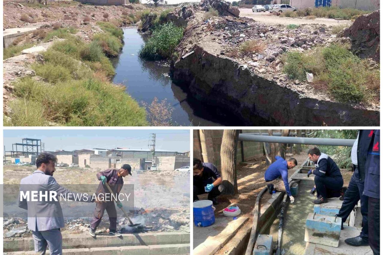 تشکیل ۱۱ پرونده قضایی برای متخلفان زیست‌محیطی در قدس