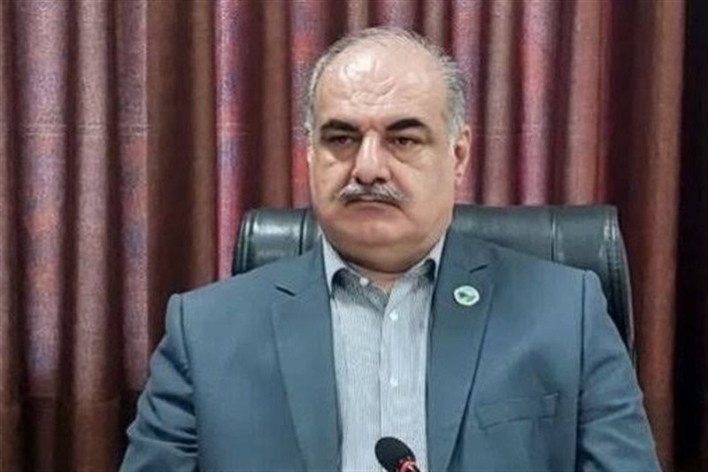 اجرای طرح نوین مدیریت جنگل‌های هیرکانی؛هزینه‌کرد 99درصد درآمد درخودطرح