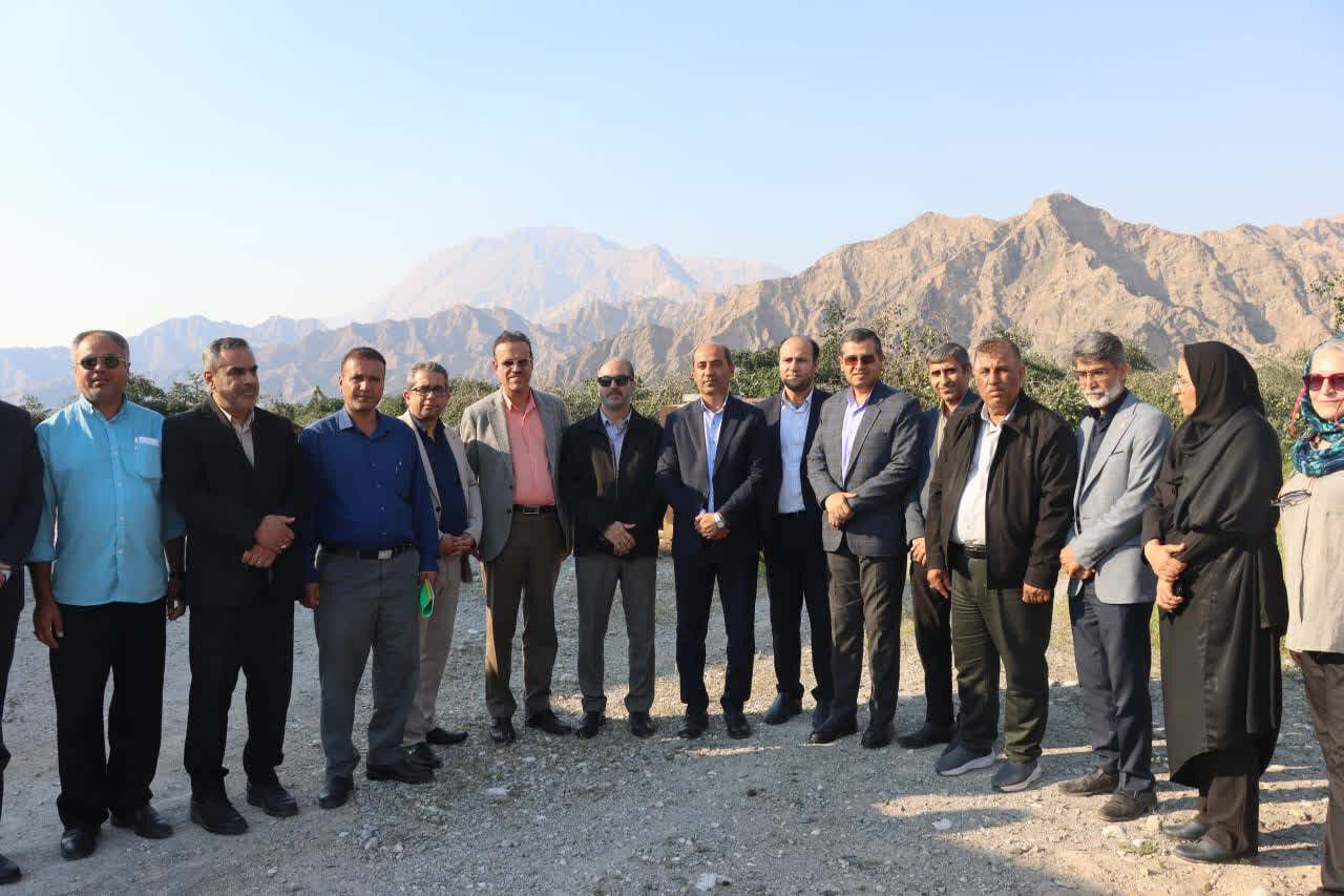 برداشت سالانه ۳۰۰ هزار تن محصول کشاورزی در شهرستان دشتی