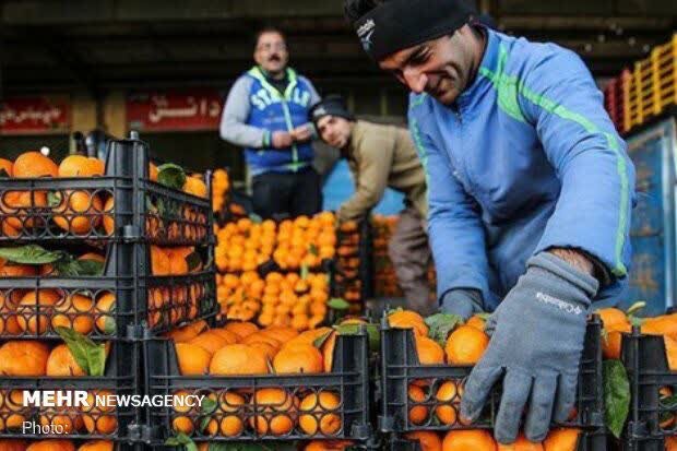 ذخیره‌سازی۳ برابری میوه شب عید؛ عرضه با قیمت مصوب تا پایان فروردین